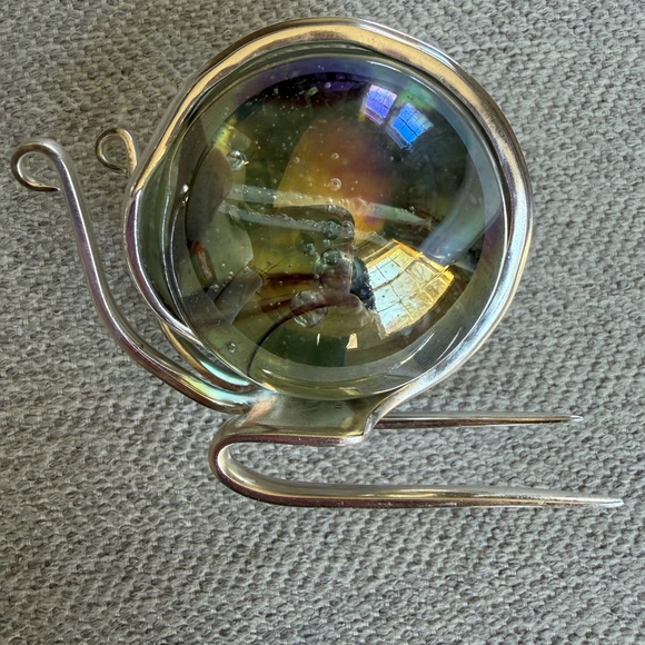 Marble Fork Snail - Picture 5 of 10